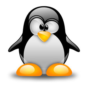 Los puertos más importantes en sistemas Linux
