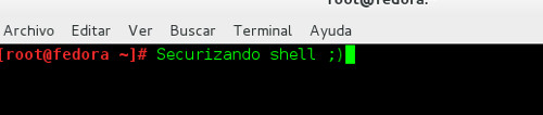 securizando shell